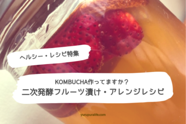 KOMBUCHA二次発酵フルーツ漬け作り方・アレンジレシピ